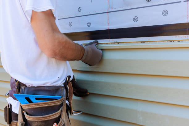 Affordable Vinyl Siding solutions in Williamstown, WV